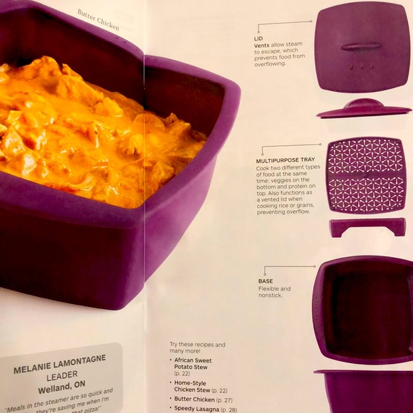 Other - Epicure multi-purpose steamer NEW in box 📦